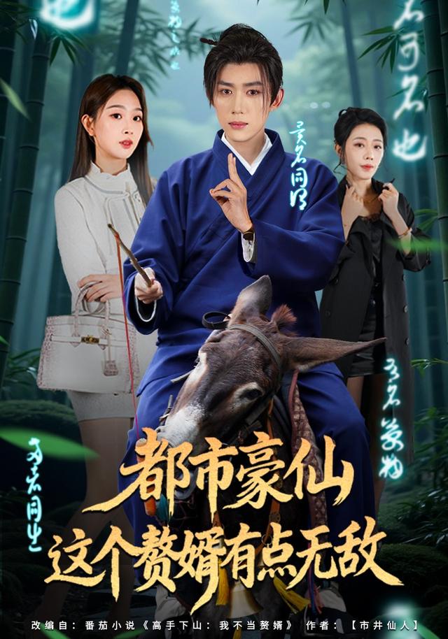 都市豪仙，这个赘婿有点无敌海报
